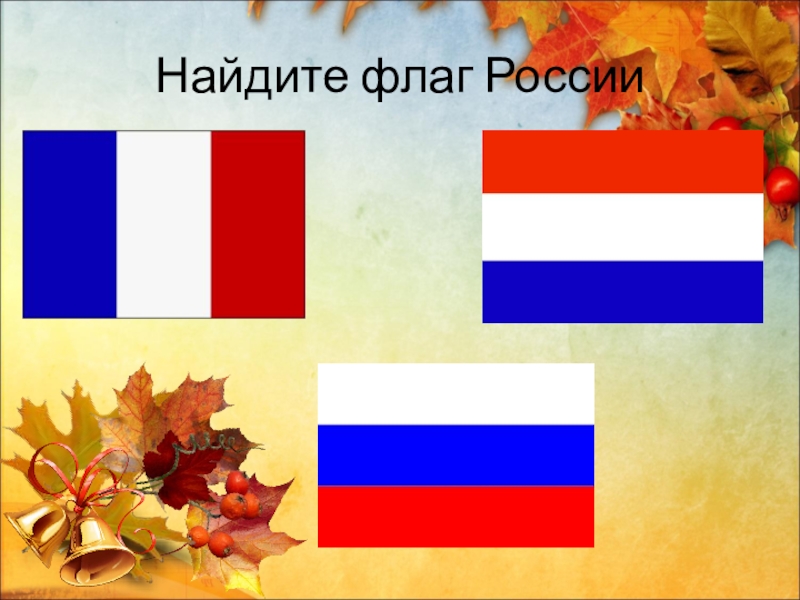 Найти флаг. Найди флаг России. Игра Найди флаг России. Найти российский флаг. Найди флаг России среди других.