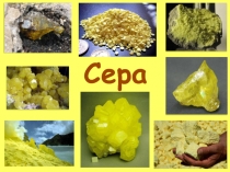 Презентация по химии на тему Сера