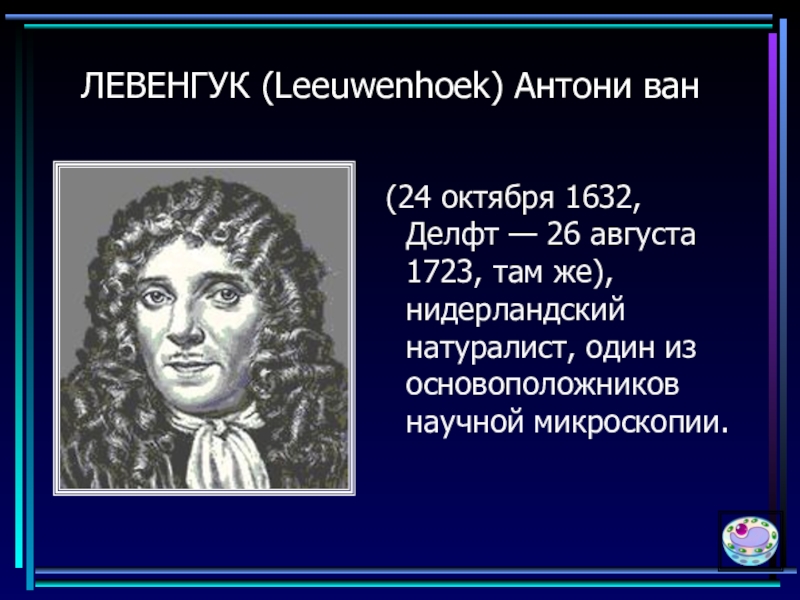 Нидерландский натуралист. Антони Ван Левенгук (1632-1723). Дельфт Левенгук. Антони Ван Левенгук (24.10.1632г – 26.08.1723г). Антони Ван Левенгук натуралист.