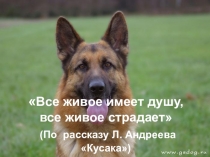 Презентация к уроку литературы по теме Л.Андреев Кусака