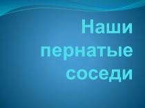 Презентация по биологии на тему Наши пернатые соседи