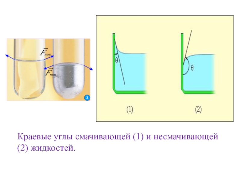 Проект по физике поверхностное натяжение жидкости