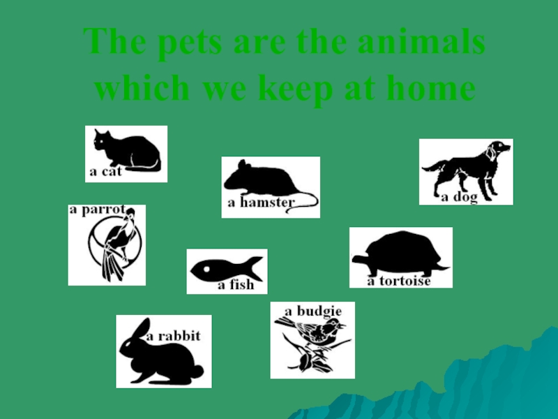 Which animals is better. Which animals Crawl.