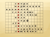 Презентация по биологии на тему Папоротники (5 класс)