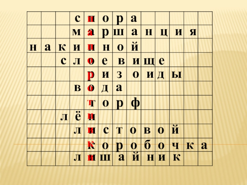 Презентация по биологии на тему Папоротники (5 класс)