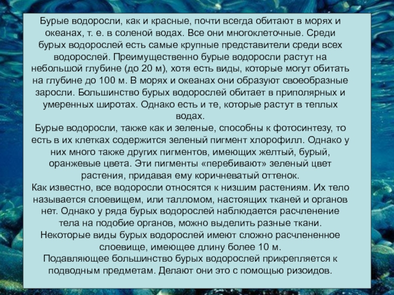 Красные и зеленые водоросли. Сообщение о красных и бурых водорослях. Сообщение на тему красные и бурые водоросли. Красные и бурые водоросли различия. Красные водоросли информация.