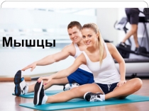 Презентация по биологии 8 класс Мышцы