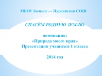 Экология родного края. Спасём родную землю