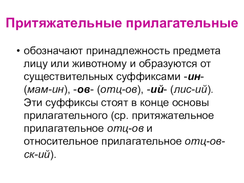 Качественное притяжательное. Притяжательные прилагательные. Примеры притяжательных прилагательных. Что обозначают притяжательные прилагательные. Притяжательные прилагательные в русском примеры.