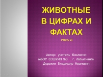 Презентация по биологии на тему:Животные в цифрах и фактах(7 класс) Часть 2