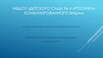 Презентация ПТИЦЫ СИБИРСКИХ ЛЕСОВ КРАСНОЯРСКОГО КРАЯ