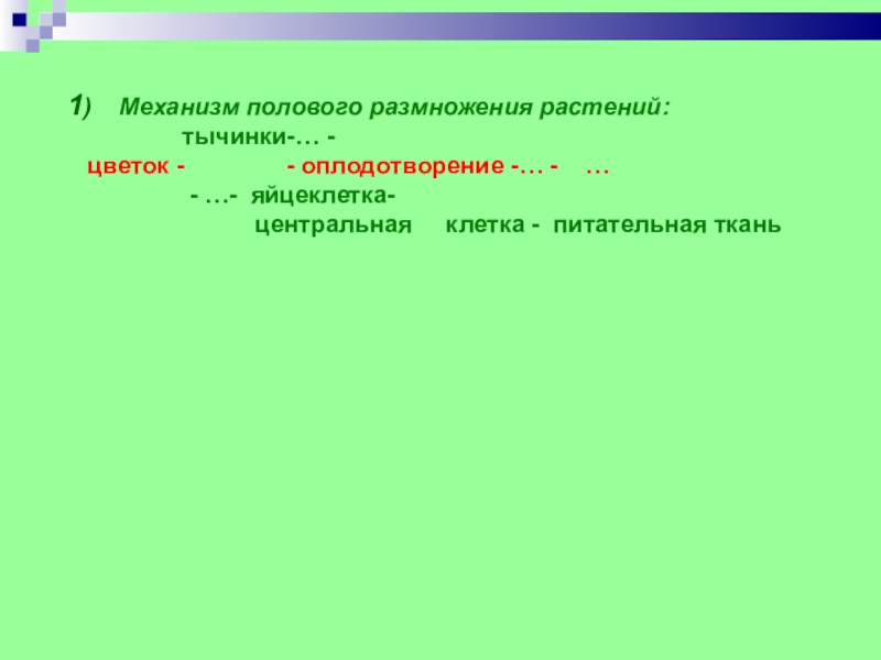 1)  Механизм полового размножения растений:         тычинки-… -