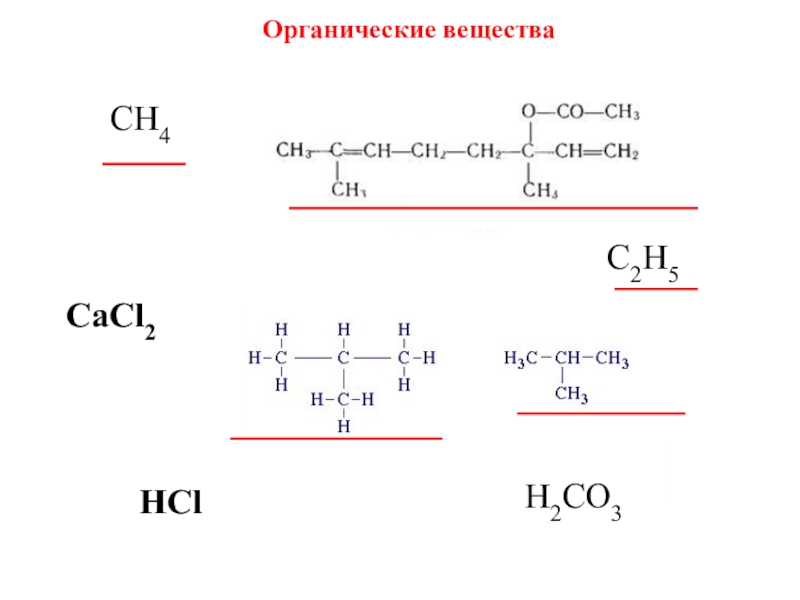 Органические соединения co2