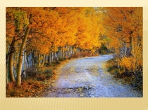 Презентация к уроку по теме Согласные звуки [л], [л,], Буквы Л,л