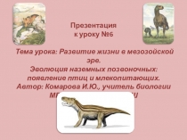Презентация по биологии к уроку Развитие жизни в мезозойской эре. Эволюция наземных позвоночных: появление птиц и млекопитающих.