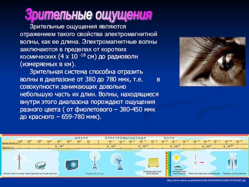 Зрительные ощущения у человека вызывает. Зрительные ощущения. Особенности зрительных ощущений. Зрительные ощущения в психологии. Как возникают зрительные ощущения.