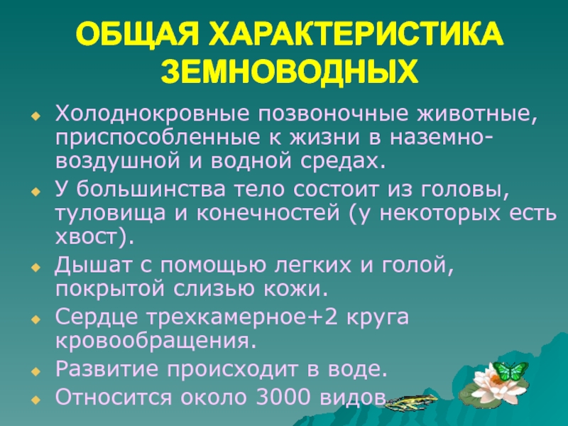 Презентация холоднокровные позвоночные животные 5 класс