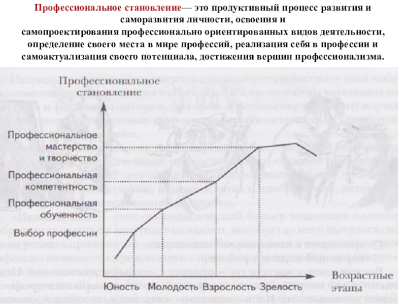 Становление это. График профессионализма. Этапы профессионального становления график. Профессиональное становление. Стадии профессионального становления график.