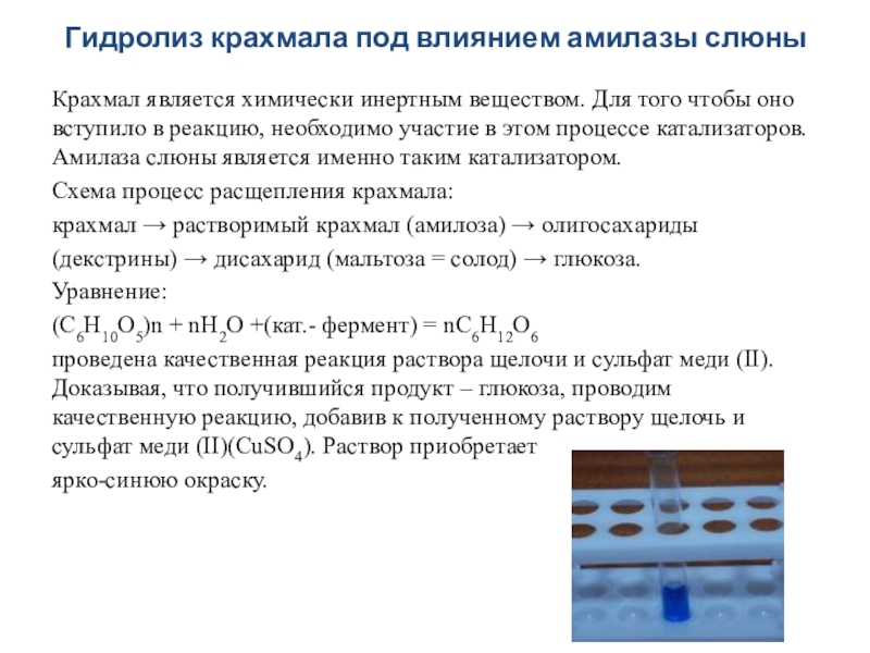 Крахмал слюна 8 класс лабораторная