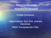 Презентация по биологии на тему:Многообразие млекопитающих. Отряд Сумчатые