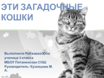 Презентация на научно практическую конференцию мл. школьников  Эти загадочные кошки
