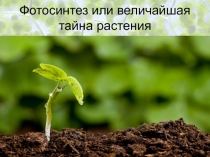 Фотосинтез(10 класс)