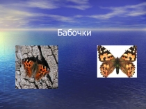 Презентация по окружающему миру на тему Бабочки