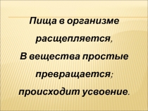 Пищеварение