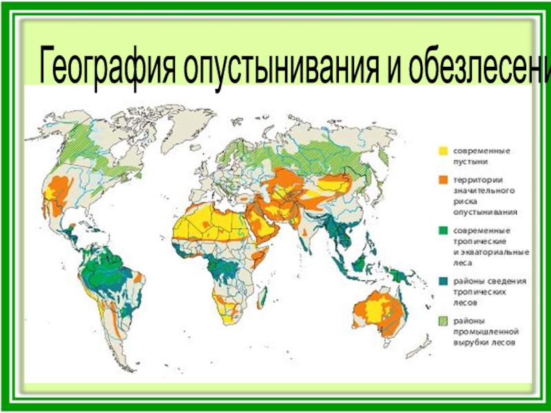 Карта вырубки лесов в мире