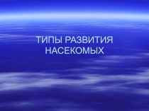 Типы развития насекомых