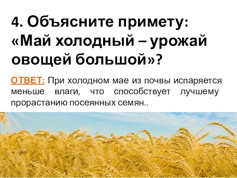 Объясните примет. Холодный май приметы. Холодный май и урожай. 4 Мая приметы.