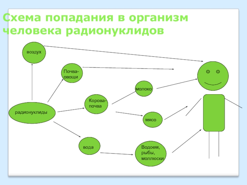 Радионуклиды пути поступления. Попадание радионуклидов в организм человека. Схема миграции радионуклидов во внешней. Поступление радионуклидов в организм. Пути поступления радиации в организм человека.