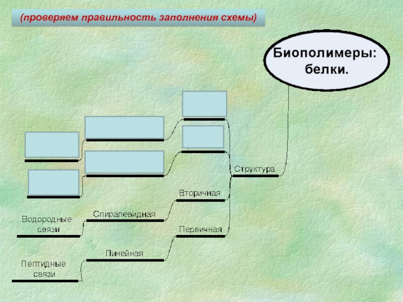 Заполните схему указав операции превращения шкуры в кожу