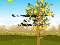 Презентация Визитная карточка группы