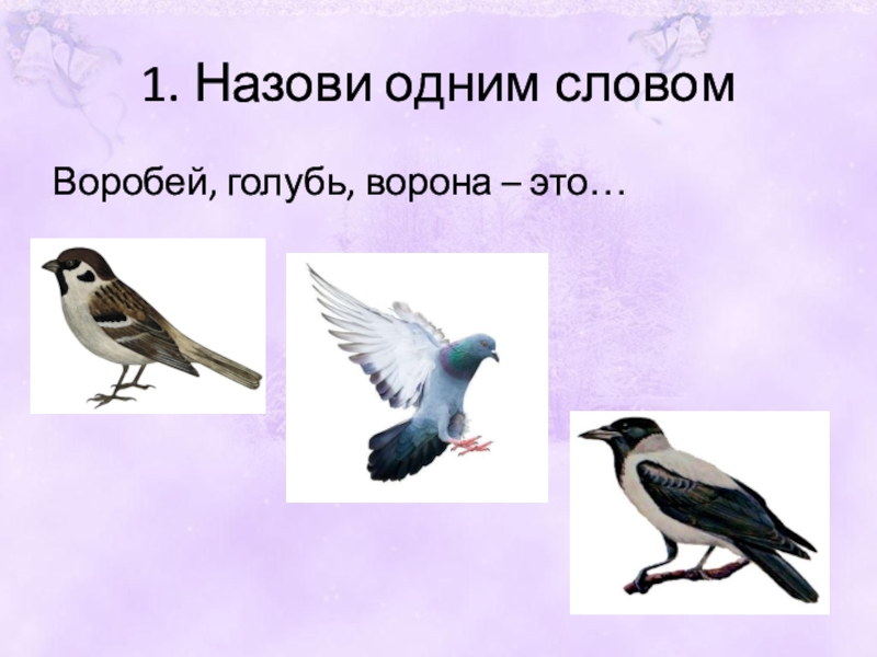 Задания голубь. Ворона голубь Воробей. Вороны голуби воробьи. Предложение со словом Воробей. Проект Воробей голубь ворона.