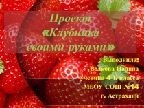 Презентация к Исследовательскому проекту Клубника своими руками