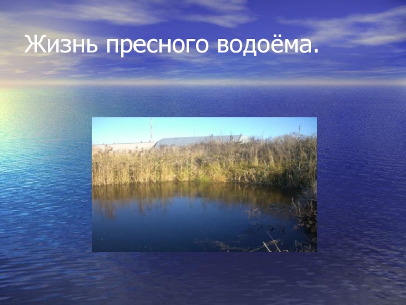 Жизнь в пресных водах проект