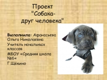 Презентация Собаки- домашние любимцы!