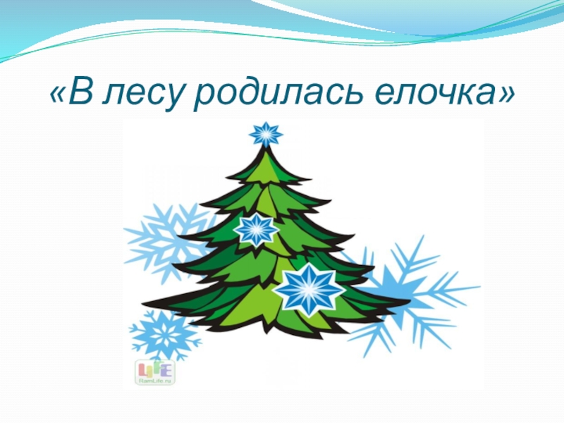 В лесу родилась елочка слушать для детей. В лесу родилась ёлочка. Елочка слова. В лесу родилась ёлочка слова. В лесу родилась слова.