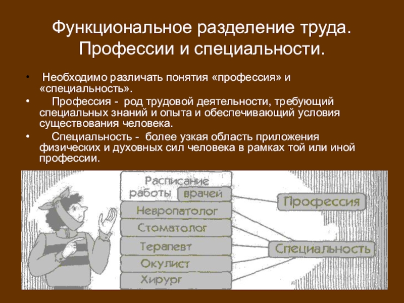 Профессия как род деятельности человека. Функциональное Разделение труда. 1. Разделение труда. Специализация. Профессии.. Профессия специальность специализация(узкое направление). Функциональное Разделение труда в поликлинике.