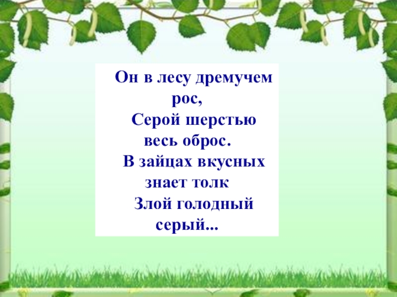 Почему лес называют дремучим. Он в лесу дремучем рос серой шерстью весь оброс. Он живет в лесу дремучем. Дремучий лес. Жили в дремучем лесу.