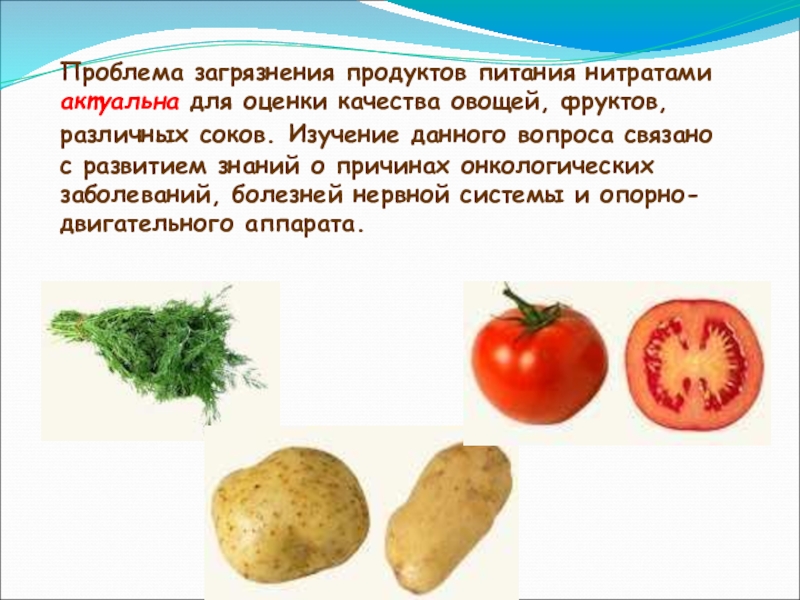 Показатели качества овощей