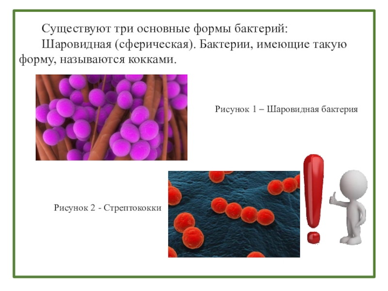 Проект математика в медицине 10 класс