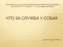 Презентация Что за служба у собак