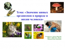 Презентация по биологии на темуЗначение живых организмов в природе и жизни человека