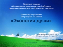 Презентация к программе внеурочной деятельности для 1-4 классов Экология души