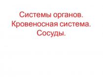 Кровеносная система. Сосуды. Лимфа