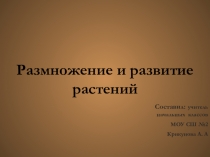 Презентация по окр.миру на тему:Размножение и развитие растений