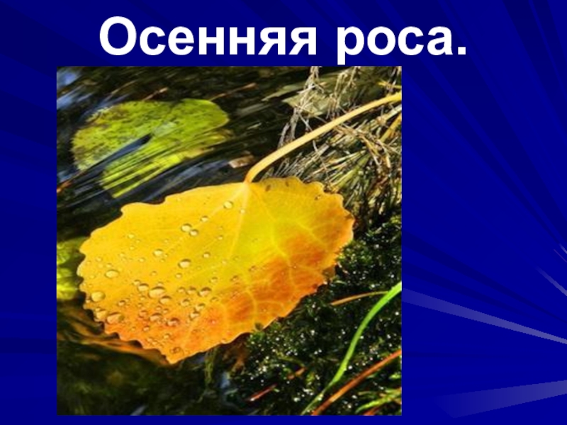 Роса текст. Осенняя роса Ноты. Песня осенняя роса. Осенняя роса Ноты для голоса. Осенняя роса слова.