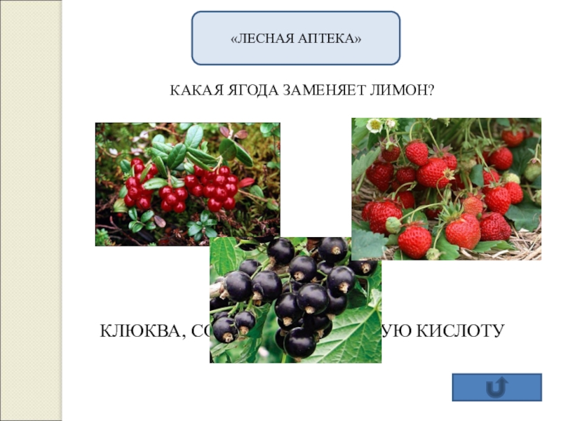 Презентация по окружающему миру для 2 класса зеленая аптека